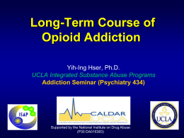 Long-Term Course of Opioid Addiction