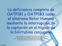 La deficiencia de OATP1B1 y OATP1B3 causa el síndrome Rotor