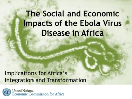 The Impact of EVD on Africa (Draft )