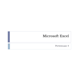 Microsoft Excel p1