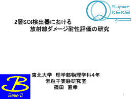 2層SOI検出器における放射線ダメージ耐性評価の研究(篠田 直幸)