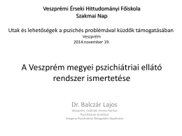 A Veszprém megyei pszichiátriai ellátó rendszer ismertetése