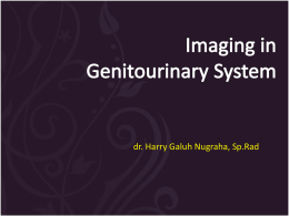 Imaging in Genitourinary System