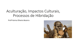 Aculturação, Impactos Culturais, Processos de Hibridação