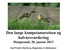 Hartberg 28 januar 2013 – kompetansereise og halvaarsvurdering