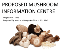 mushroom - WordPress.com