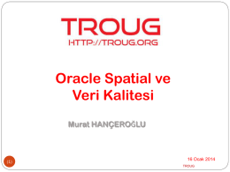 Oracle Spatial Genel Bakış ve Veri Kalitesi