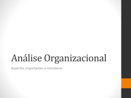 Análise Organizacional