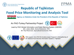 Food Price Monitoring and Analysis Tool at Country Level