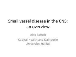 Small vessel disease in the CNS: an overview