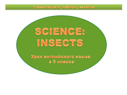 Science: Insects