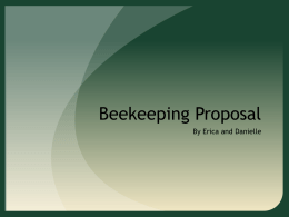 Bee Keeping Proposal