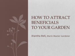 What are beneficials?