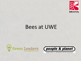 Bees at UWE - UWE Students` Union
