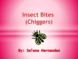 Insect Bites - mechalskesbiology