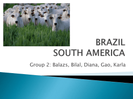Brazilian Beef - Food Animal BioSciences