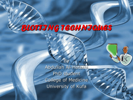 BLOTTING TECHNIQUES - University of Kufa