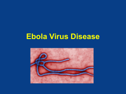 Ebola Virus Disease EVD Description