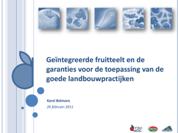 Presentatie Karel Belmans bijen_260211