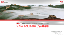 NC6，大型企业管理与电子商务平台