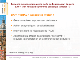 Tumeurs mélanocytaires avec perte de l`expression du gène BAP-1
