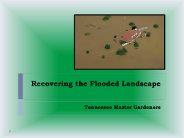 Recovering the Flooded Landscape