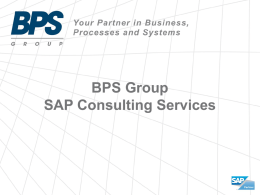 BPS Group consulting services