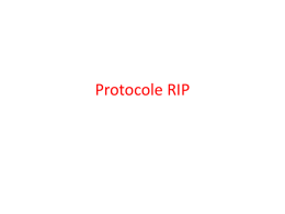 protocole-rip