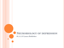 Neurobiology of depression - Translational Neuromodeling Unit