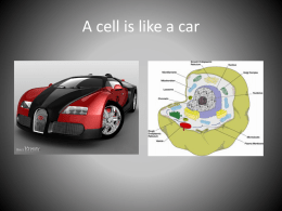 A cell is like a car