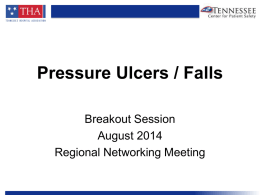 Pressure Ulcer Presentation Slides