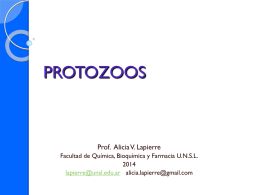LAPIERRE ALICIA 2014 Protozoos-AMEBAS final-25