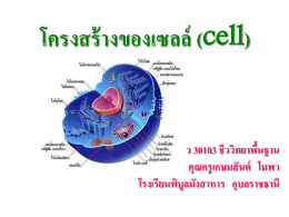 โครงสร้างของเซลล์ ว 30103 ชีววิทยาพื้นฐาน