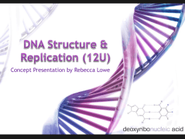 File - Miss Lowe`s Professional Growth Portfolio