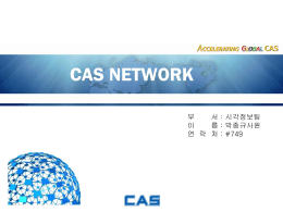 1 - CASWARE - Responsibility Global CAS