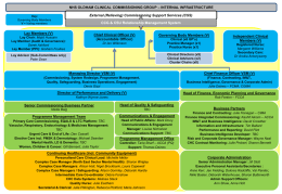 CCG Internal Management Structure