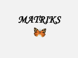 22 Matriks - WordPress.com