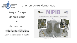 Une ressource : NIPIB - Académie de Nancy-Metz