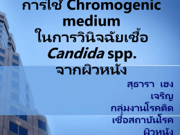 Chromogenic medium ****************** Candida spp.