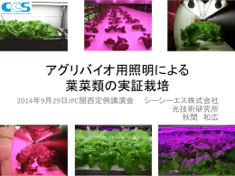 アグリバイオ用照明による葉菜類の実証栽培
