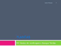 PLANTAS - Webnode