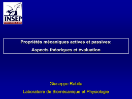 raideur-licence-pour-pdf - Master Physiologie & Biom&eacute;canique