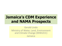 Jamaica*s CDM Experience and NAMA Prospects