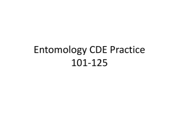 Entomology CDE Practice 101-125
