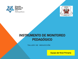 (*) Instrumento de Monitoreo Pedagógico (I parte)