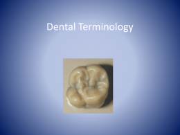 Dental_Terminology_P..