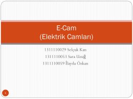 E-Cam