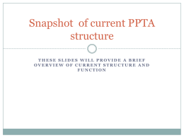 Snapshot of current PPTA structure