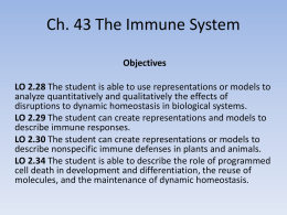 Ch. 43 The Immune System notes