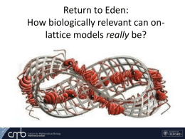 Eden: How biologically relevant can on-lattice models